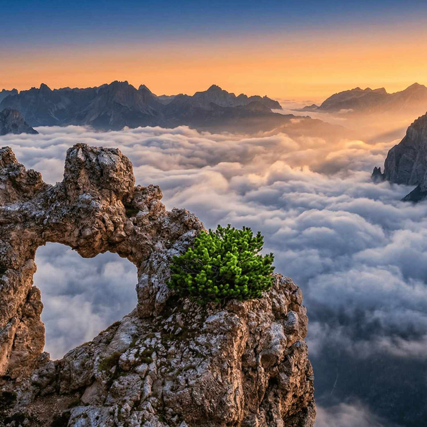 Onoranze Funebri Bristot