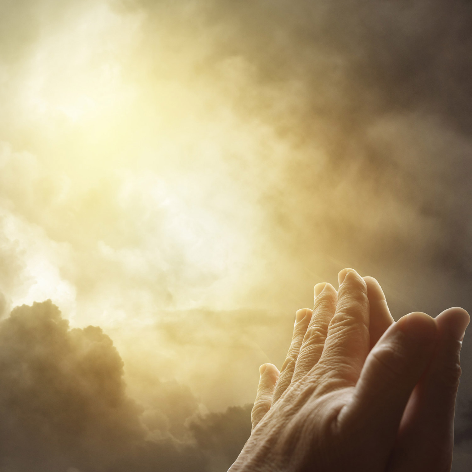 Onoranze Funebri Donadel