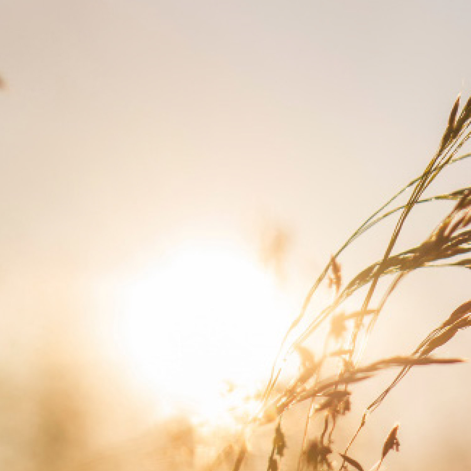 Onoranze Funebri Donadel